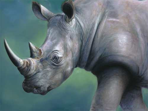 500x376 Rhino Painting Carrie Dudley - Rhinoceros Painting