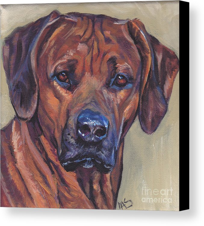 678x750 Rhodesian Ridgeback Canvas Print Canvas Art By Lee Ann Shepard - Rhodesian Ridgeback Painting