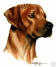 189x225 Rhodesian Ridgeback Collectibles For Sale Ebay - Rhodesian Ridgeback Painting