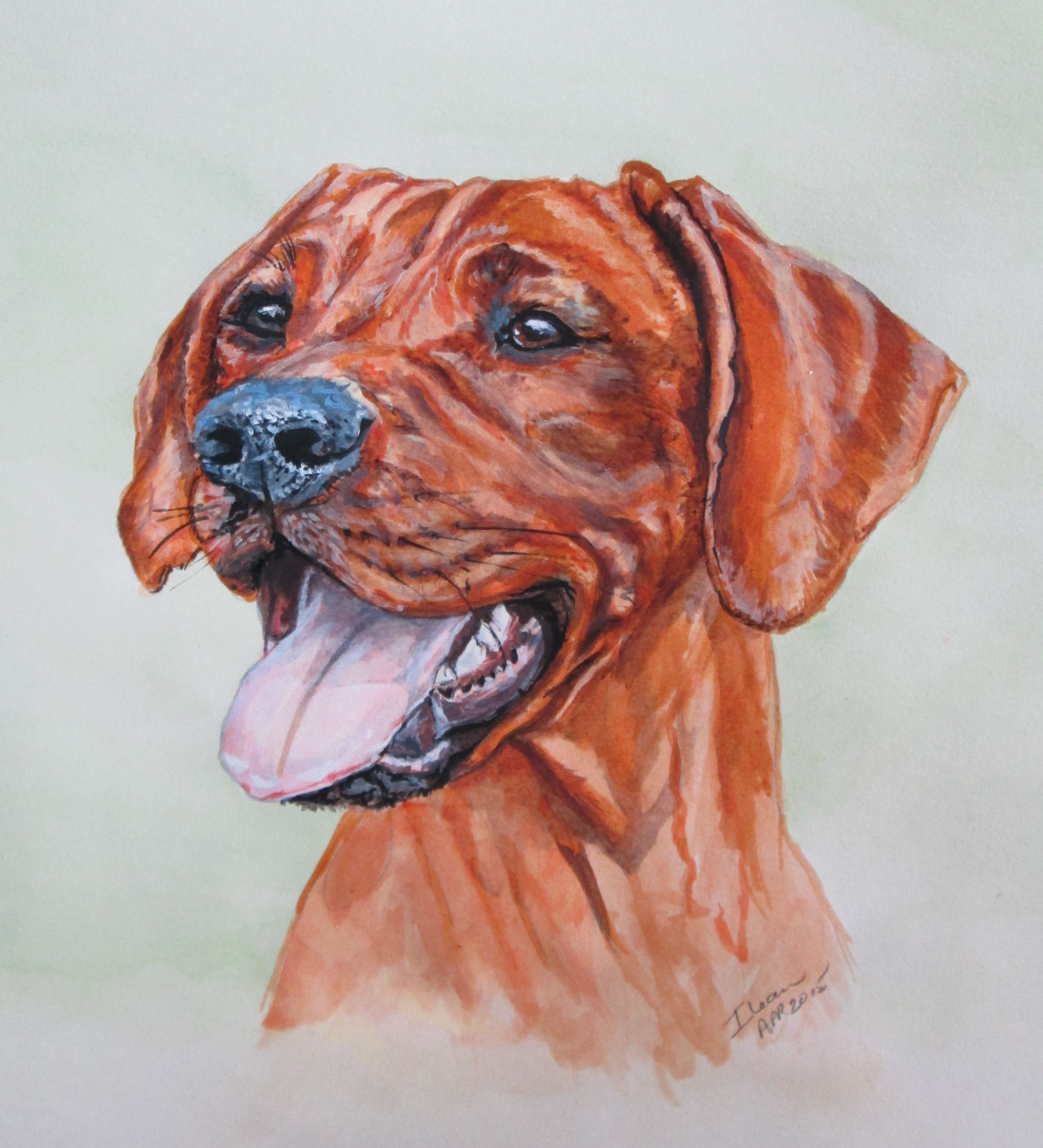 3174x3495 Rhodesian Ridgeback Dog Portrait Painting In Acrylic Art By Ilean - Rhodesian Ridgeback Painting