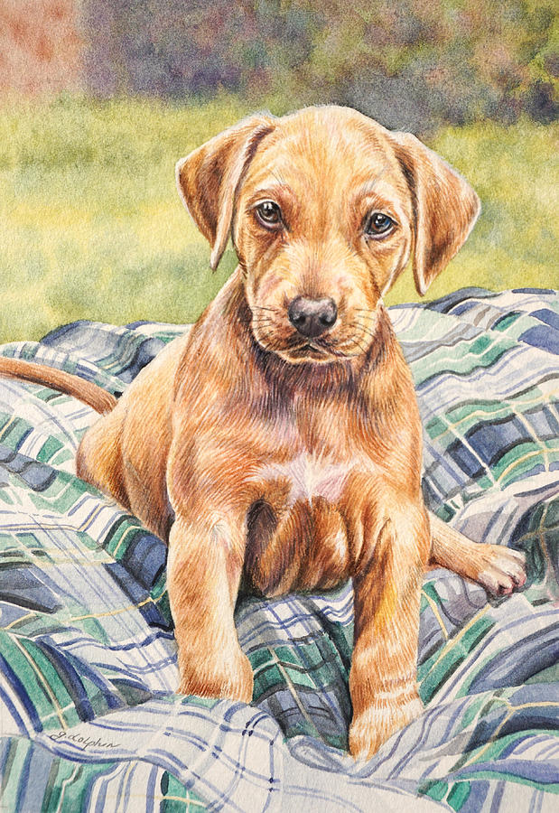 619x900 Rhodesian Ridgeback Puppy Painting By Gail Dolphin - Rhodesian Ridgeback Painting