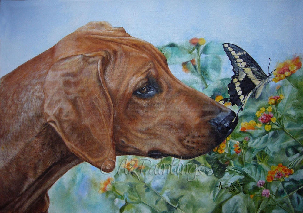 1000x705 Rhodesian Ridgeback And Butterfly Oil Painting By Artist Anne - Rhodesian Ridgeback Painting