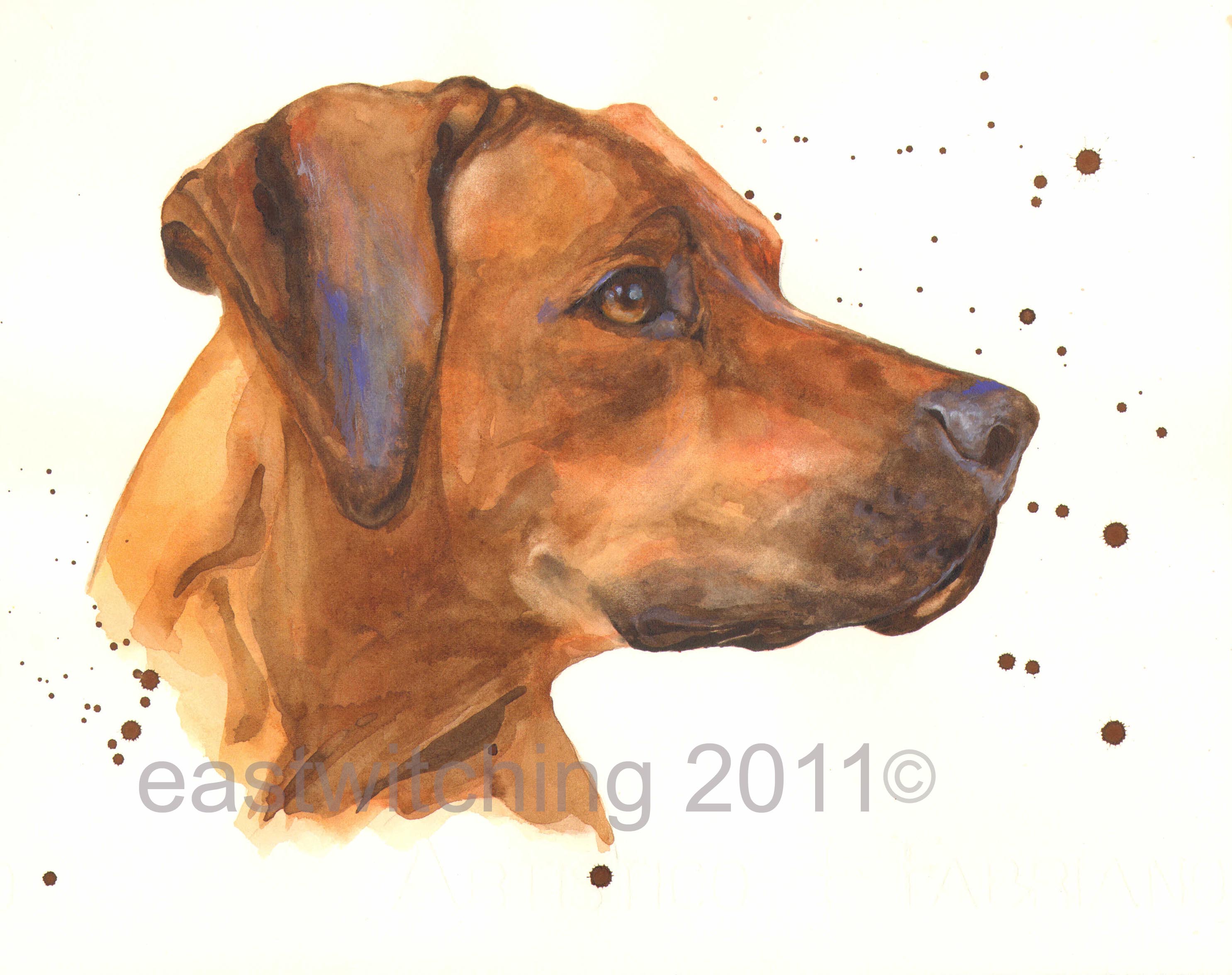 2970x2350 How To Paint A Rhodesian Ridgeback Alison Fennell Art - Rhodesian Ridgeback Painting