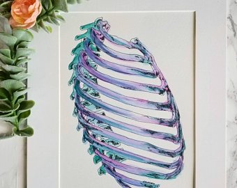 340x270 Ribcage Painting Etsy - Rib Cage Painting