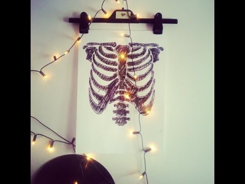 480x360 Skeleton Rib Cage Template - Rib Cage Painting