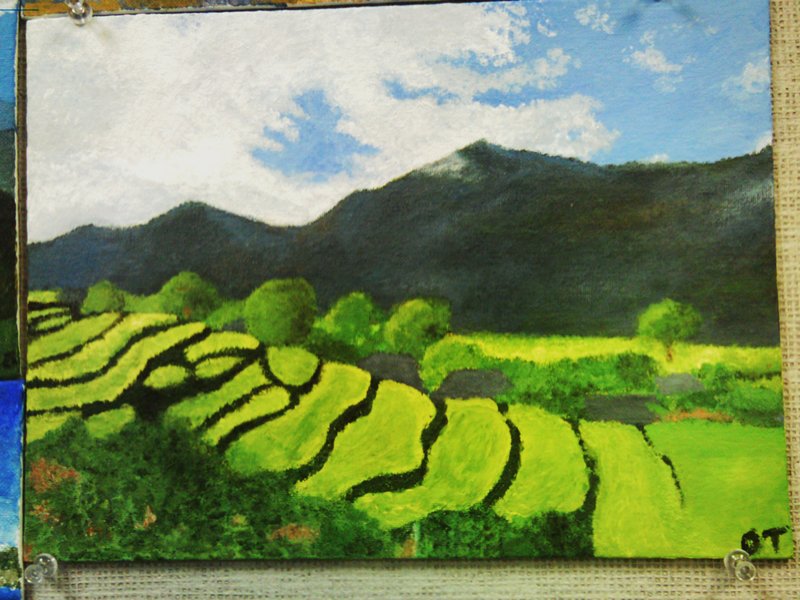 800x600 Rice Field - Rice Field Painting