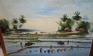 300x182 Vietnam Mia Cay Rice Field Original Oil On Canvas Landscape - Rice Field Painting
