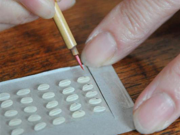 750x563 Rice Art! Japan Info - Rice Grain Painting