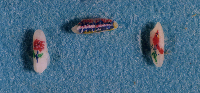 655x304 Last Supper Painting On Rice - Rice Painting