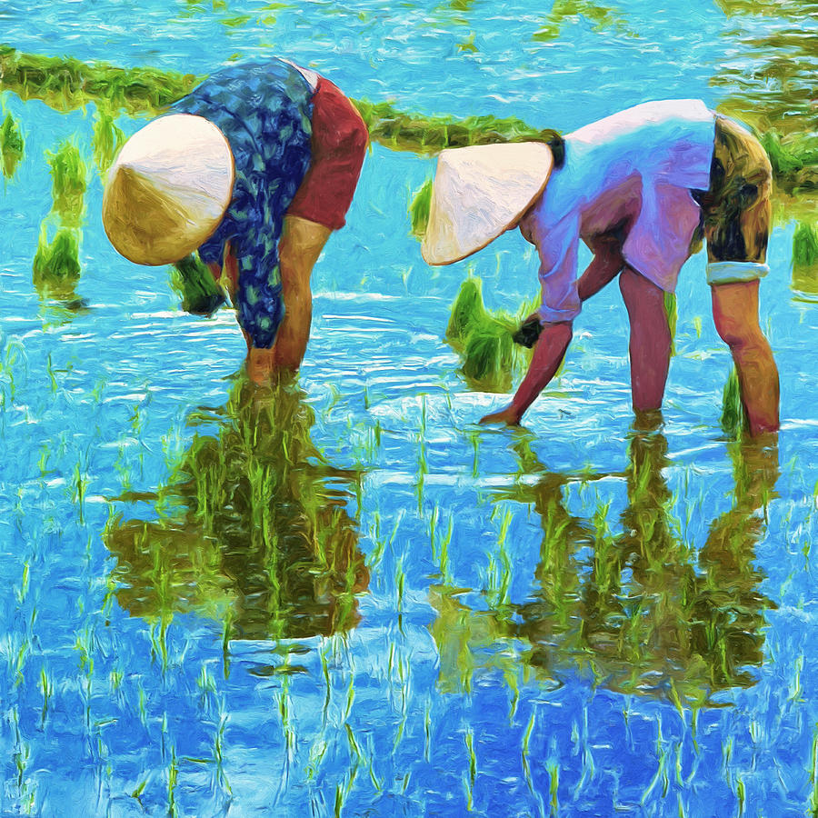 900x900 Women Planting Rice Painting By Dominic Piperata - Rice Painting