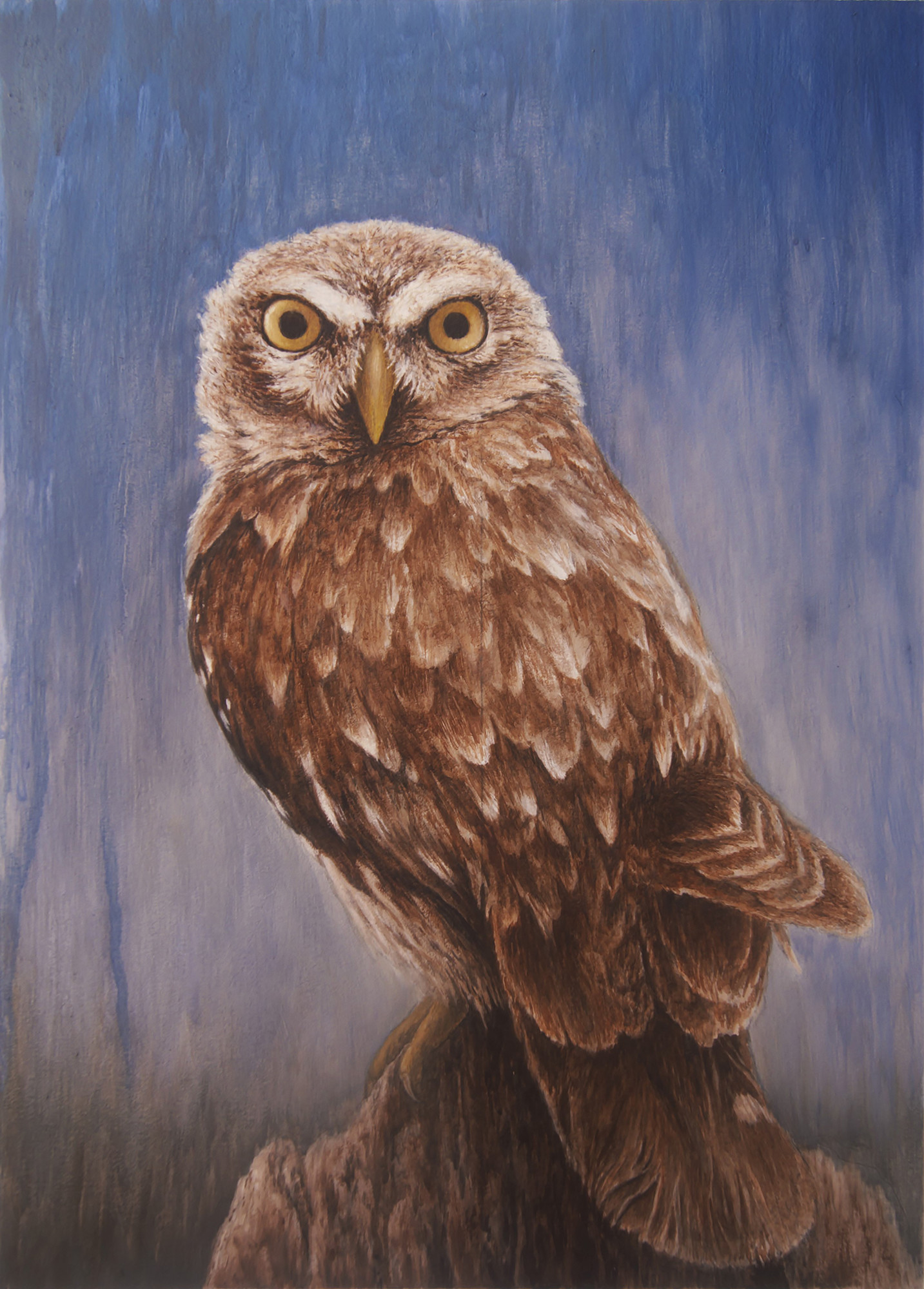 Richard Screech Owl Painting at PaintingValley.com | Explore collection 