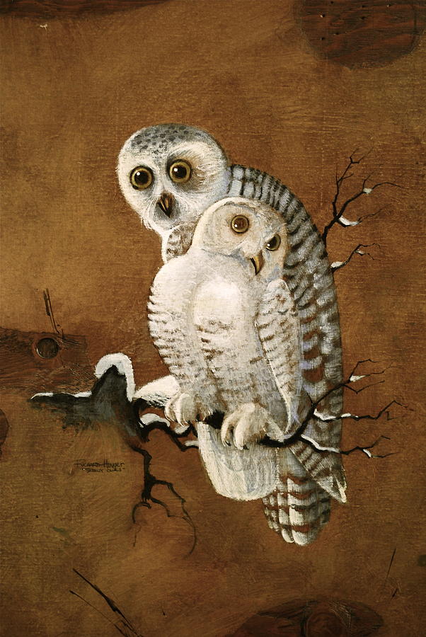 602x900 Snowy Owls Painting By Richard Hinger - Richard Screech Owl Painting