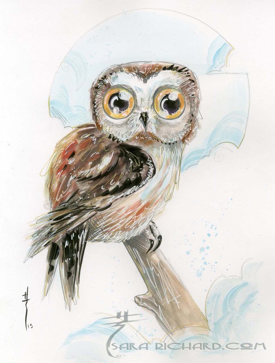 910x1200 Sara Richard On Twitter Catching Up On Sketches - Richard Screech Painting