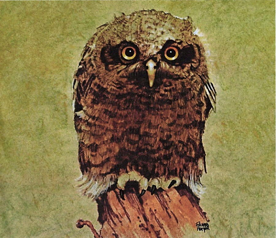 900x776 Here's Looking At You Painting By Richard Hinger - Richard Screech Painting