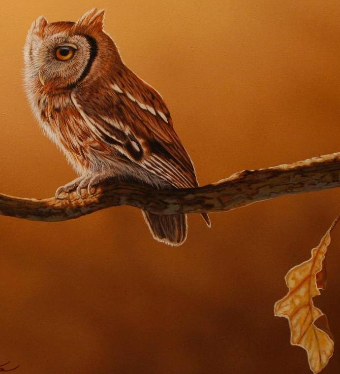 691x759 Screech Owl Richard Clifton Original Painting - Richard Screech Painting