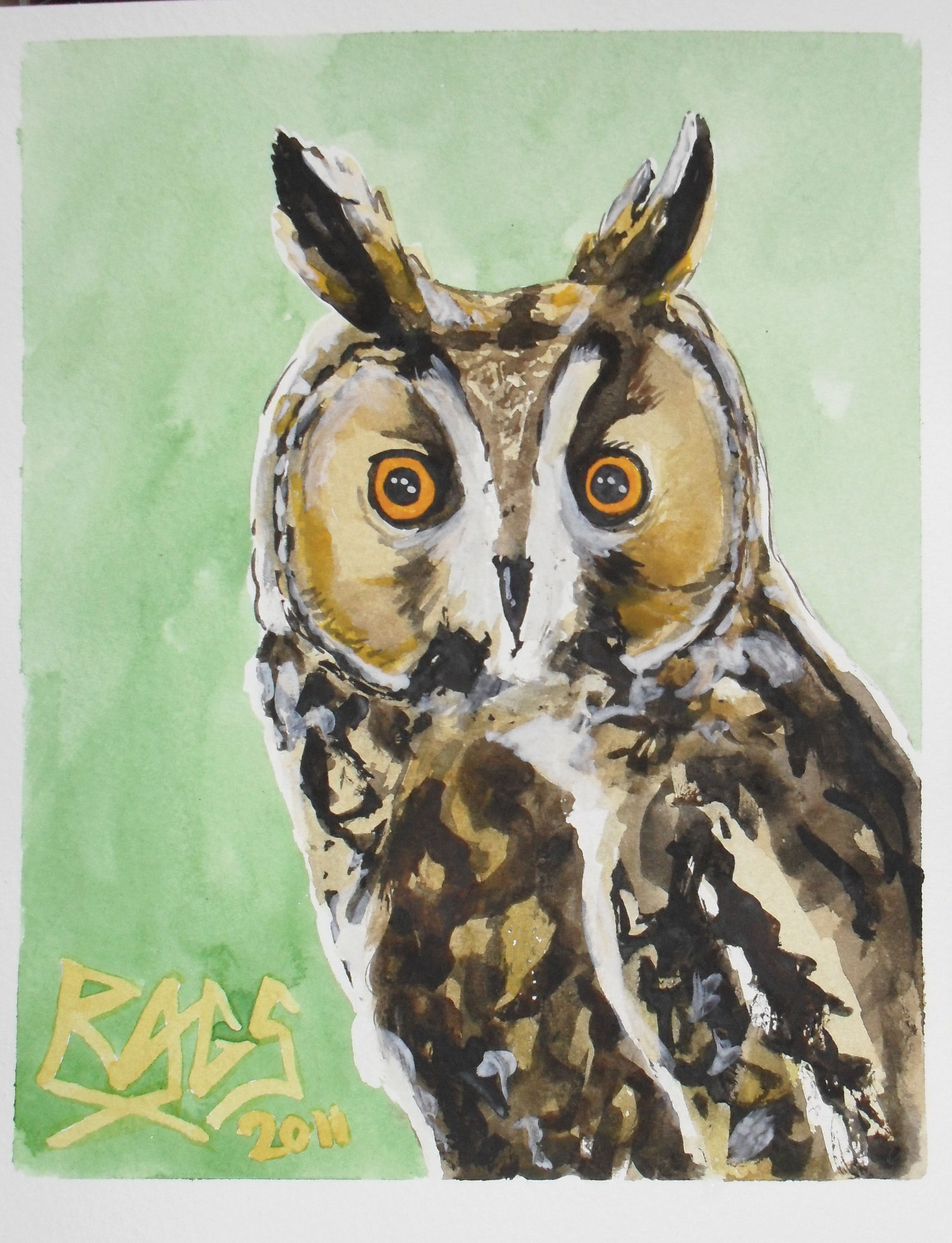 2057x2686 My Long Eared Owl - Richard Screech Painting