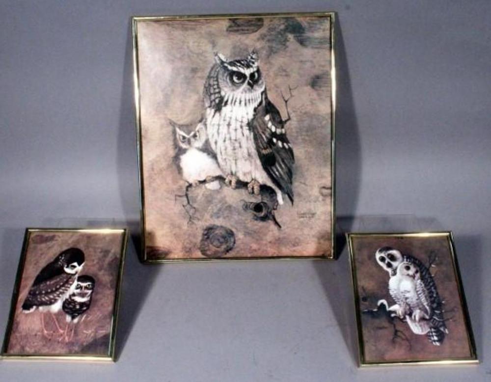 1000x778 Richard Hinger Framed Owl Prints Screech Owls 16 X 20, Snowy - Richard Screech Painting