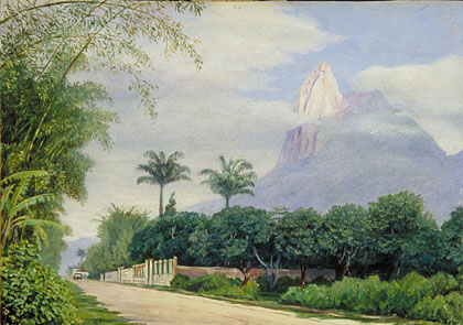 420x295 Kew Marianne North Gallery Painting 825 View Of The Corcovado - Rio De Janeiro Painting