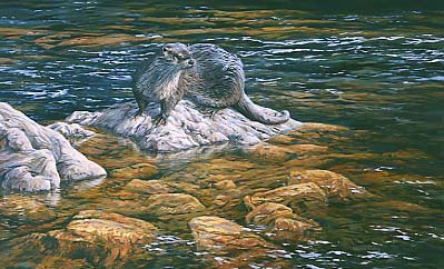 399x242 Otter Pictures And Paintings Gallery - River Otter Painting