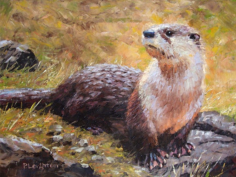 900x674 Paul B. Leighton. Thomas (River Otter) Otter Painting - River Otter Painting