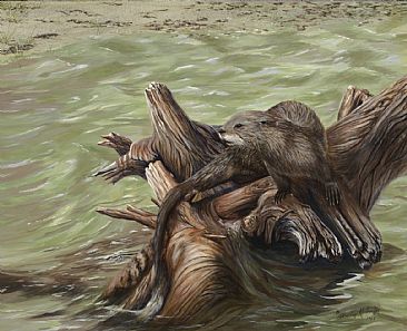 366x297 River Otter - River Otter Painting