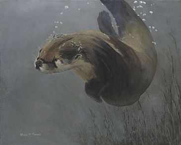 366x293 River Otter - River Otter Painting