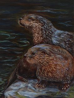 236x314 Steve Greco. Having A Look (River Otter) Otter Painting - River Otter Painting