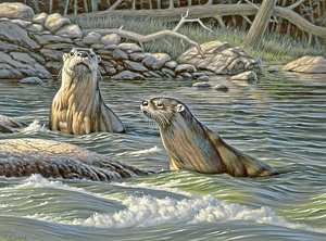 300x222 Up For Air - River Otter Painting