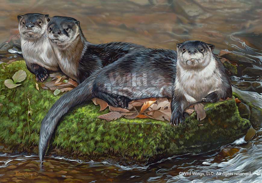 870x608 High And Dry Original Acrylic Painting Wild Wings - River Otter Painting