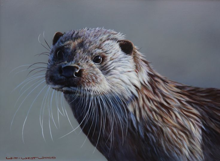 735x537 Otter Painting 574 - River Otter Painting