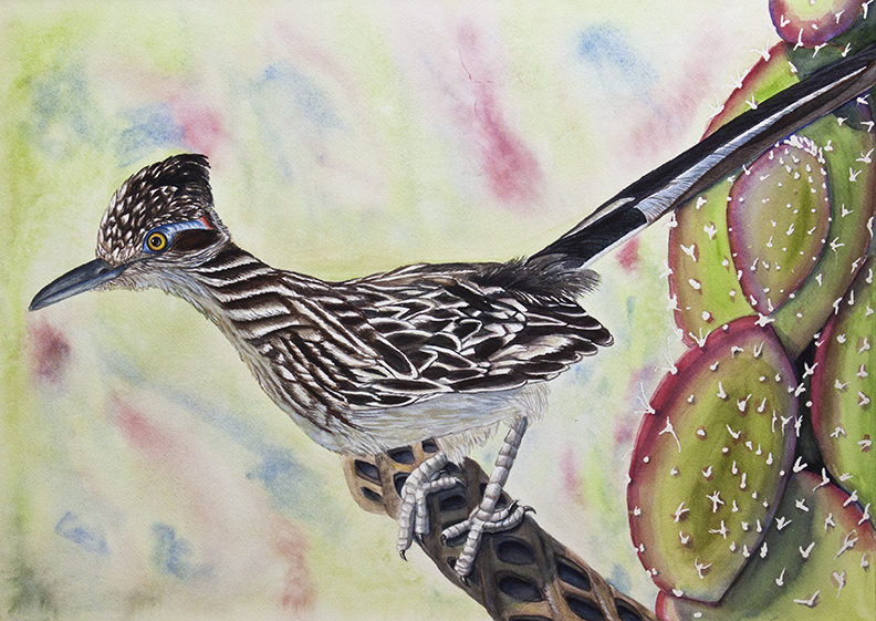 792x561 Roadrunner Arlenepowers - Roadrunner Painting