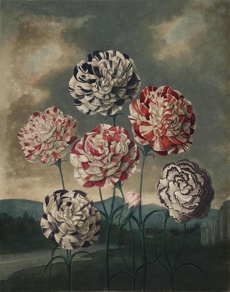 807x1024 Luxury Prospective Research On Personalization - Robert Niche Painting