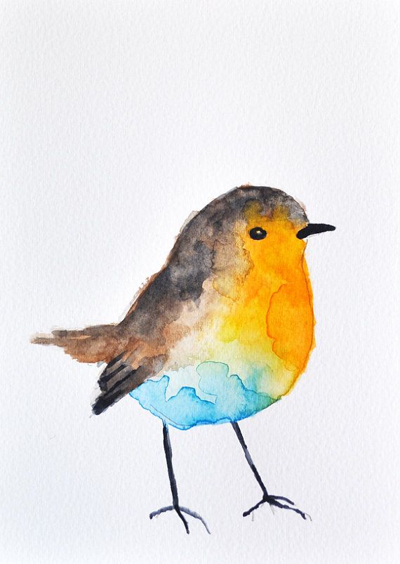 570x803 Original Watercolor Painting - Robin Bird Painting