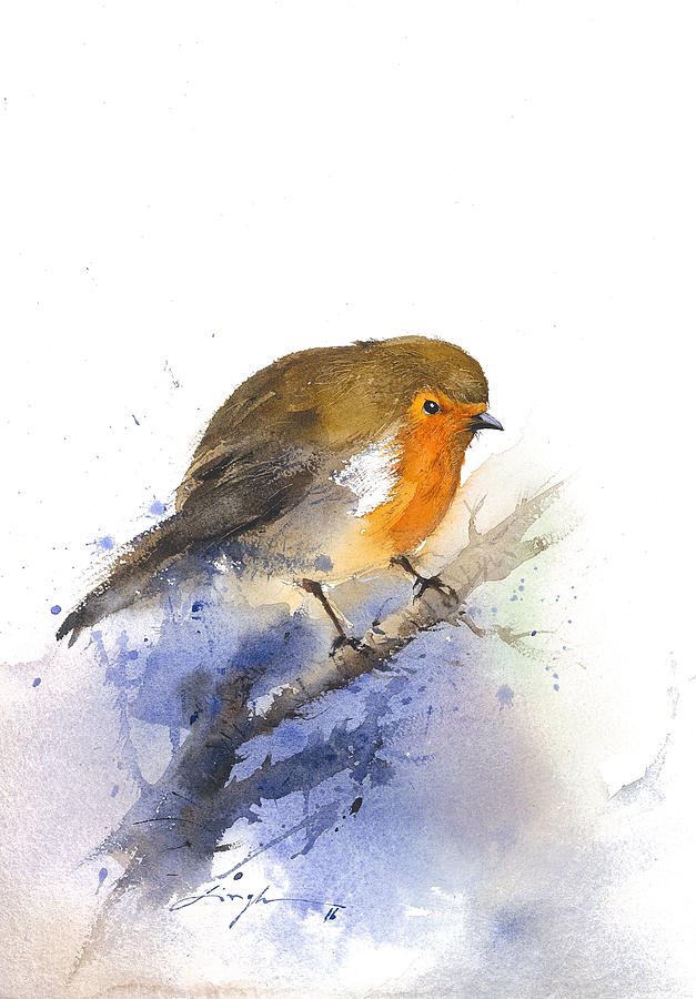 627x900 Original Watercolor Painting Robin Bird Painting By Nitin Singh - Robin Bird Painting