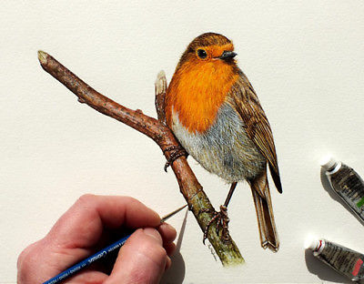 400x312 Robin Painting Original, Watercolour Bird, Winter Robin, Bird - Robin Bird Painting