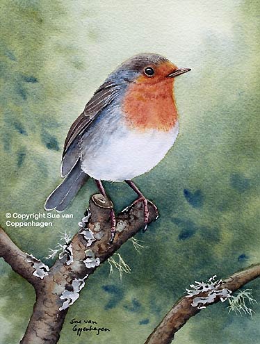 Robin Bird Painting at PaintingValley.com | Explore collection of Robin ...