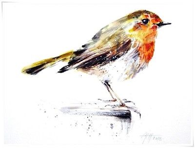 400x304 Robin Bird Watercolour Original Painting Art Illustration - Robin Painting