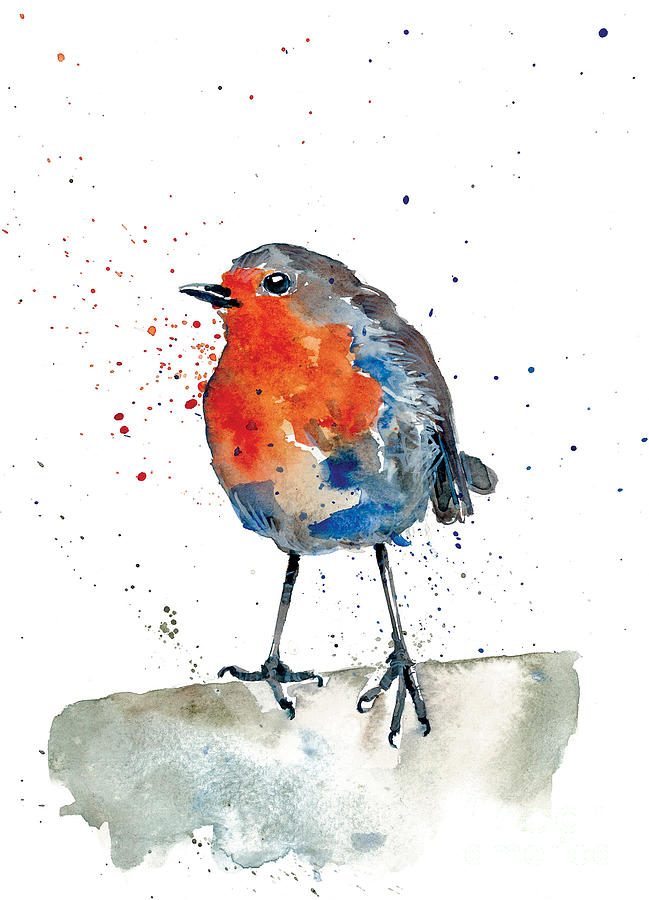 649x900 Robin - Robin Painting