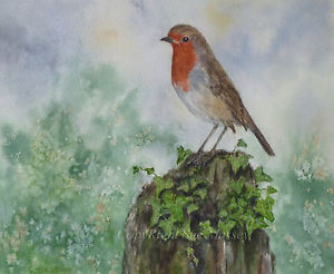300x246 Robin Painting Watercolour Original Bird Wildlife Nature Ebay - Robin Painting