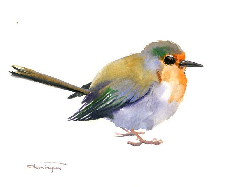 850x641 Robin Art Bird Artwork, Original Watercolor Painting, Bird Lvoer - Robin Painting