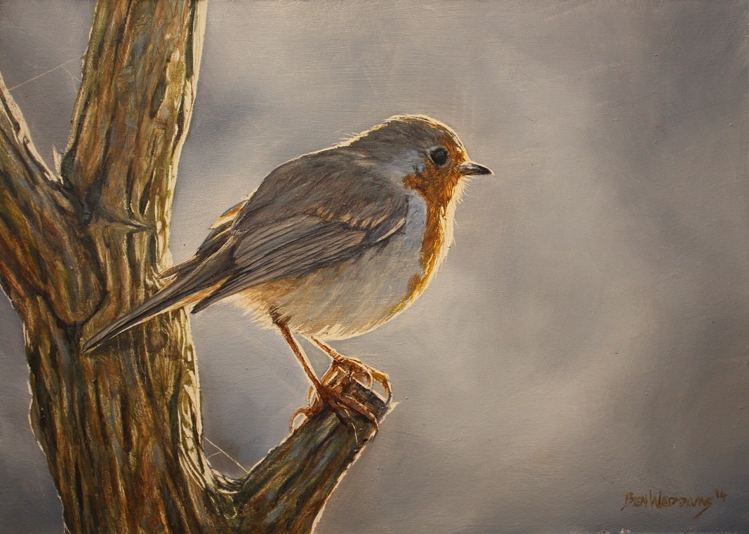 1067x761 Robin Painting By Ben Waddams Ritaroberts's Blog - Robin Painting