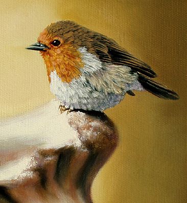 366x398 European Robin - Robin Painting