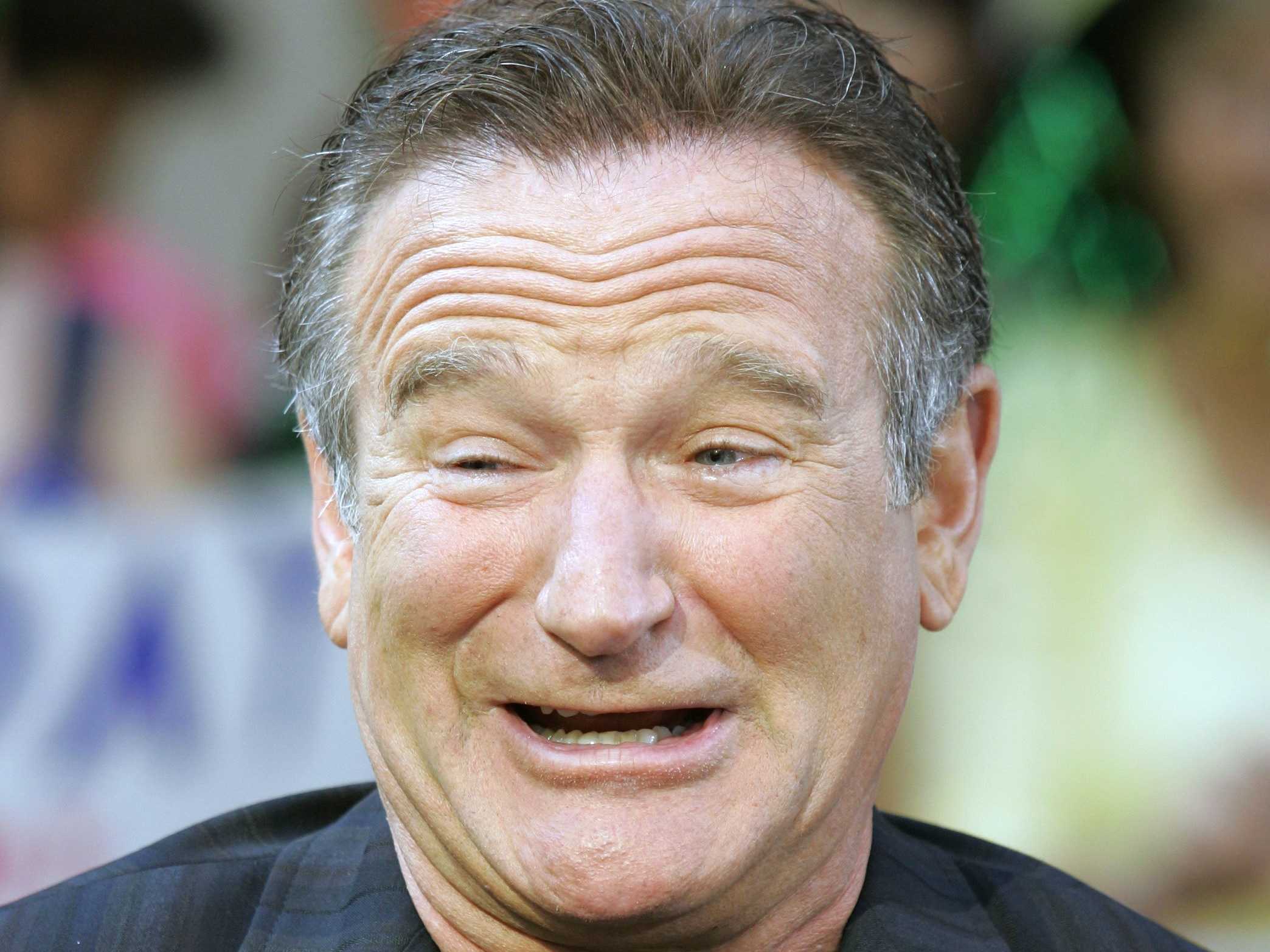 2088x1566 Robin Williams Disney Feud Led To Picasso Gift - Robin Williams Painting Movie