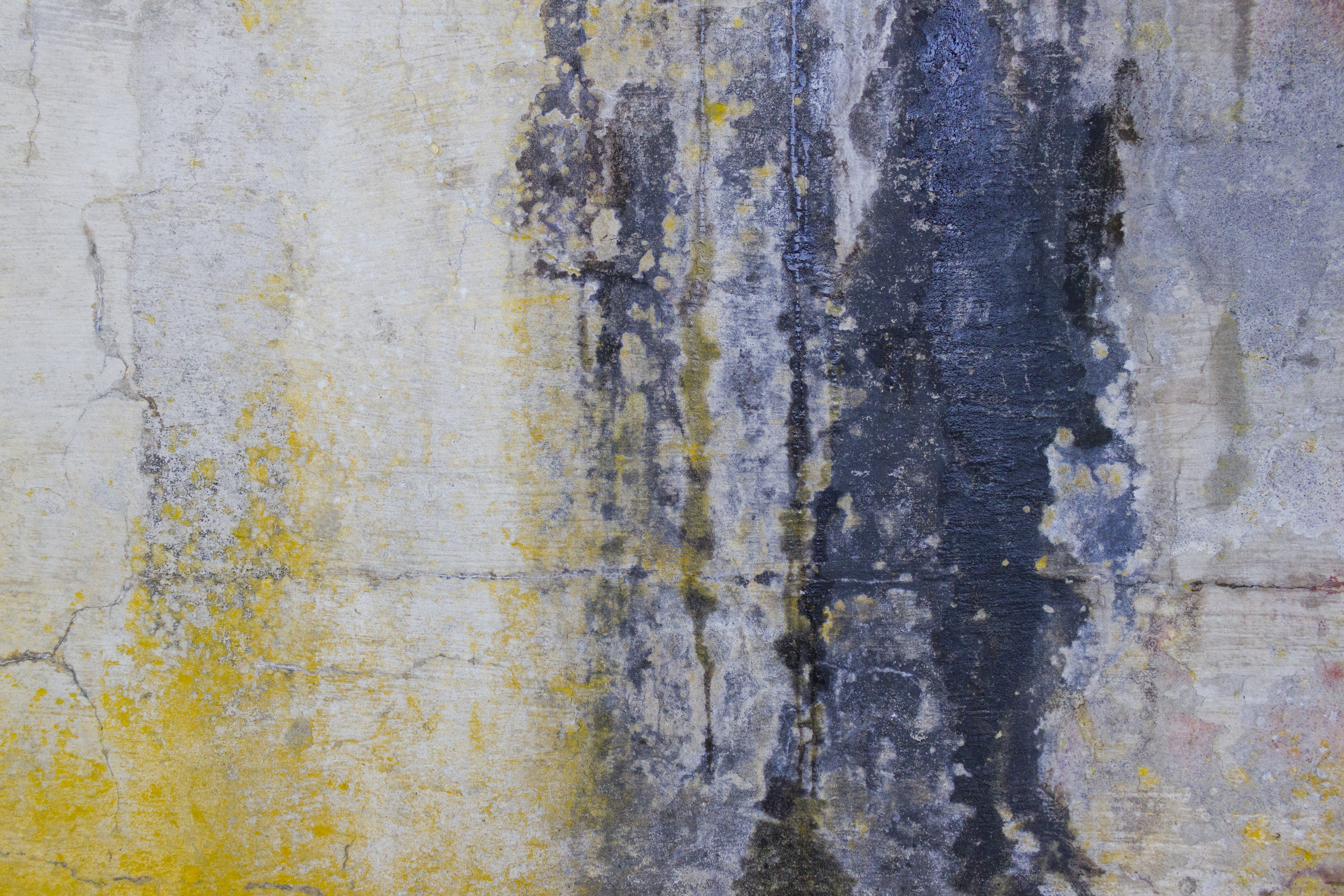 5184x3456 Free Images Rock, Texture, Wall, Grunge, Graffiti, Material - Rock Texture Painting