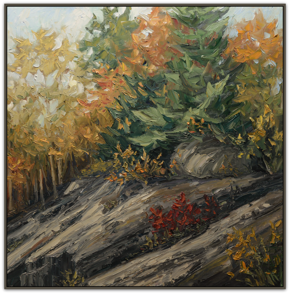 990x1003 Large Canadian Landscape Paintings - Rocky 3 Painting