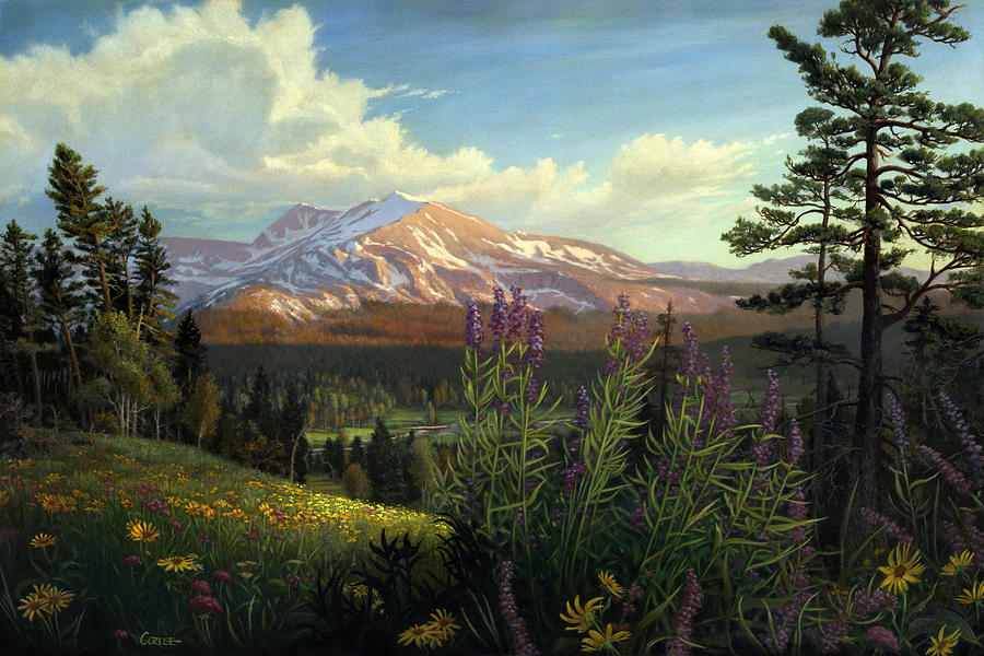 900x600 Rocky Mountain Landscape Meadow In Spring Western Panorama - Rocky Landscape Painting