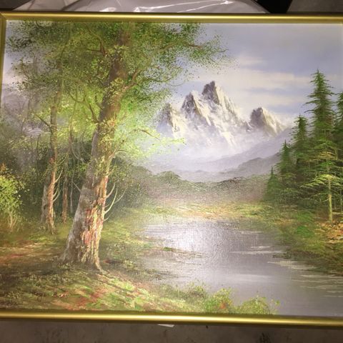 480x480 40x40cm Oil Painting Finn.no - Roger Brown Oil Painting Landscape