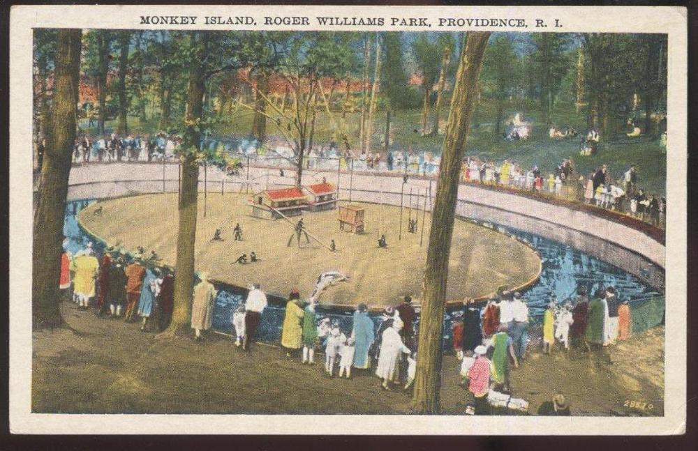 1000x647 Postcard Providence Rhode Islandri Roger Williams Park Monkey - Roger Williams Painting