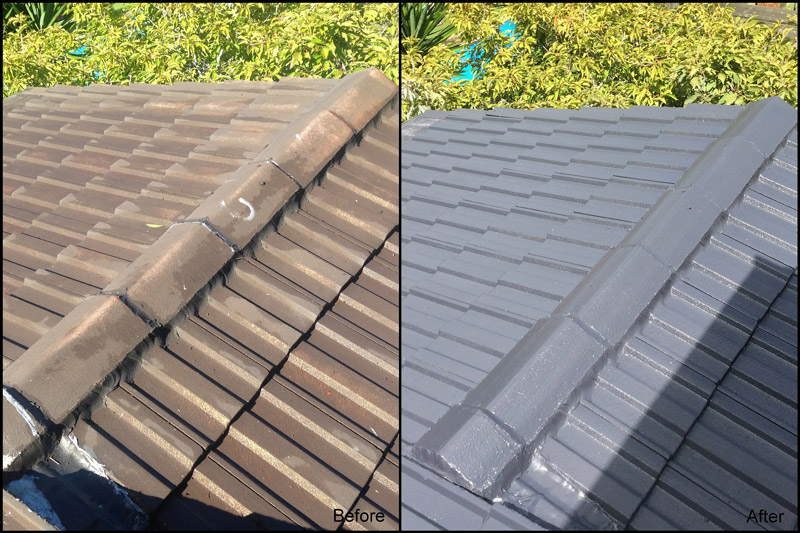 800x533 Roof Painting Sydney - Roof Painting