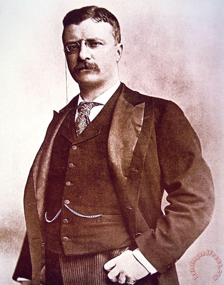 753x960 American School President Theodore Roosevelt Painting - Roosevelt Painting